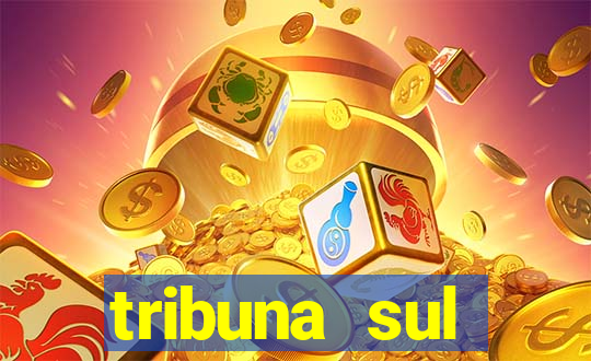 tribuna sul fluminense volta redonda